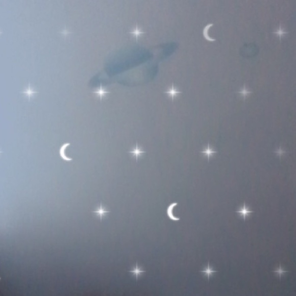 Meet your Posher, Ava